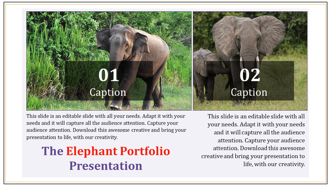 Attractive Portfolio Management PowerPoint Template PPT